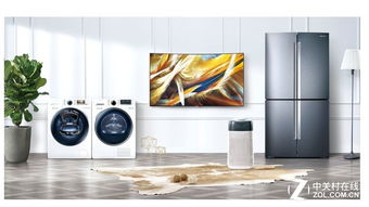 王珞丹偶遇宫廷风 三星家电引领双十一跨界艺术新风尚